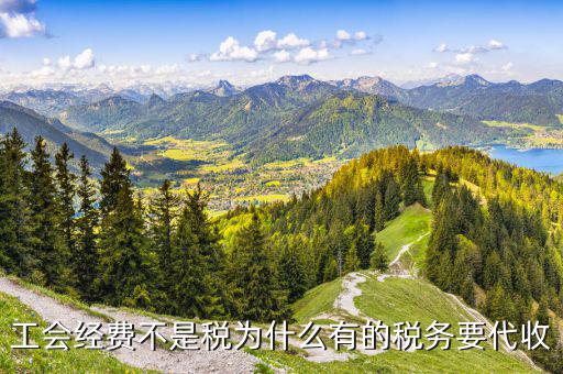 工會經(jīng)費稅務機關如何代征的，工會經(jīng)費不是稅為什么有的稅務要代收