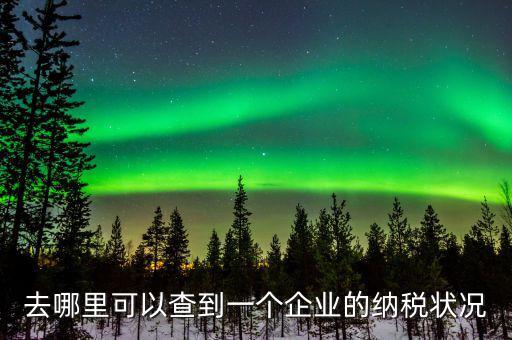 去哪里可以查到一個企業的納稅狀況