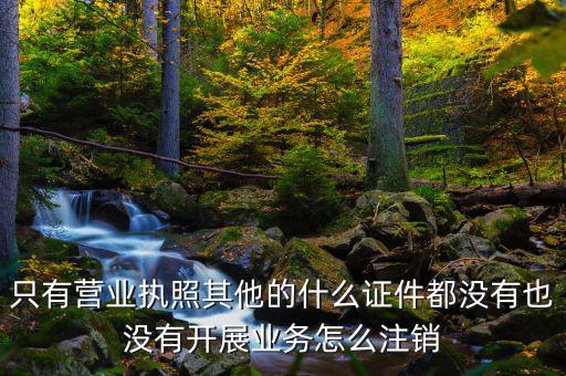 只有營業執照其他的什么證件都沒有也沒有開展業務怎么注銷