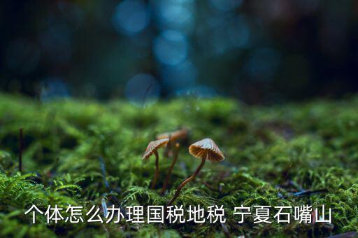 如何進行網上稅務申報寧夏，寧夏中稅電子申報系統的報表時間如何修改 是CTRL神馬來的