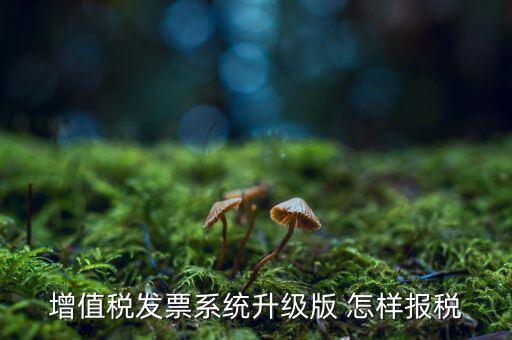 如何更新發票系統版本，如何將開票軟件升級為最新版本