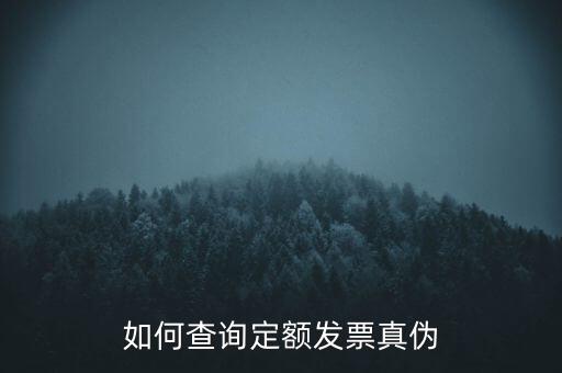如何查詢定額發票真偽