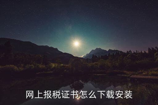 如何下載電子稅務印章，網上報稅證書怎么下載安裝