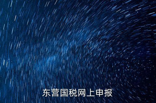 東營國稅如何網上申報，東營國稅網上申報