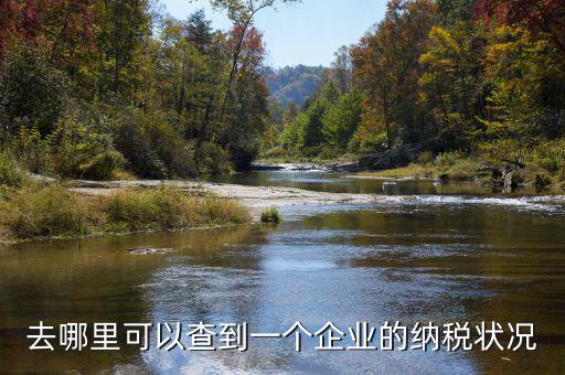 如何查詢企業納稅，去哪里可以查到一個企業的納稅狀況