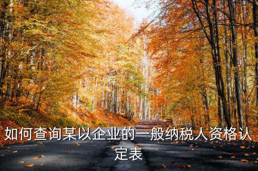 如何查詢某以企業的一般納稅人資格認定表