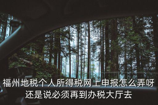 福建省地方稅務局如何辦稅，福建省地稅局網上辦稅系統周末報稅報不了