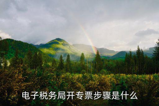 山西省稅務局網上如何開專票，如何開增值稅專用發票