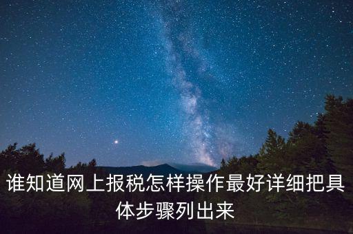 如何進行網上納稅申報，如何進行網上申報稅款
