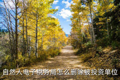 電子稅務局如何刪除不管的企業，電子稅務局網頁怎么清除企業稅號記錄