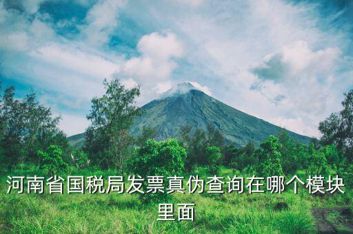 河南省國稅局發票真偽查詢在哪個模塊里面