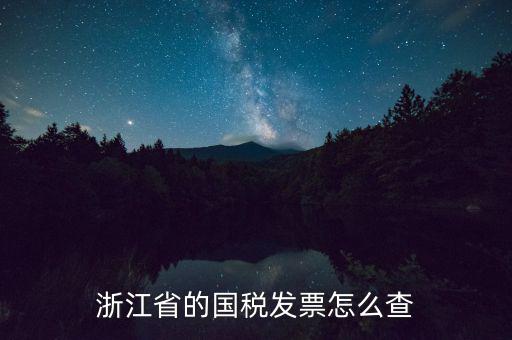 浙江省的國稅發票怎么查