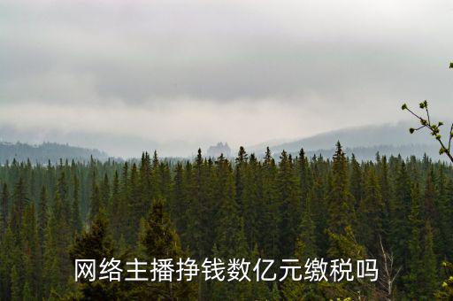 網絡主播掙錢數億元繳稅嗎