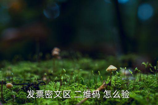 發票密文區 二維碼 怎么驗