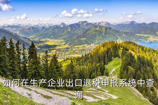 如何在生產企業出口退稅申報系統中查詢