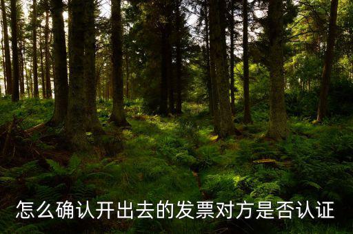 怎么確認開出去的發票對方是否認證