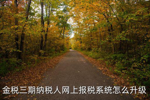 金稅三期納稅人網上報稅系統(tǒng)怎么升級