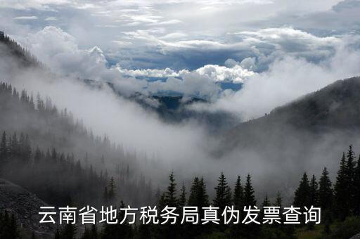 云南省地方稅務局真偽發票查詢