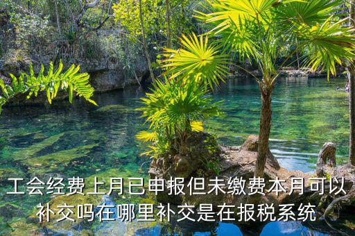 工會經費上月已申報但未繳費本月可以補交嗎在哪里補交是在報稅系統