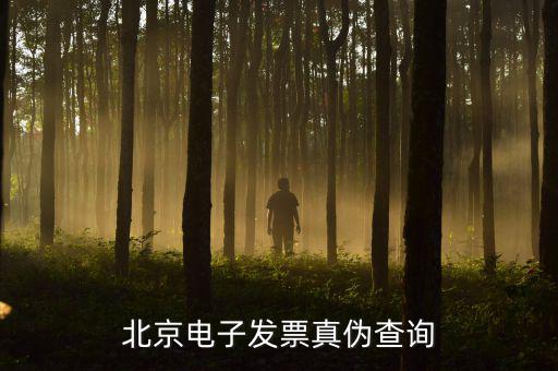 北京電子發票真偽查詢