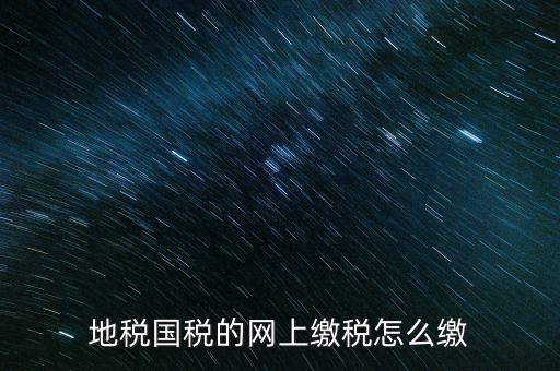 新疆國稅網上申報如何繳費，報稅系統網上繳費流程