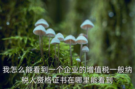 增值稅一般納稅人資格如何查詢，重慶國稅網如何查詢企業是否一般納稅人
