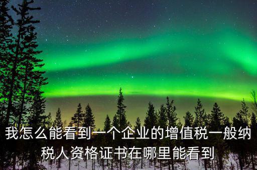 我怎么能看到一個企業的增值稅一般納稅人資格證書在哪里能看到