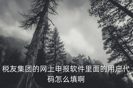 稅友軟件如何申報，稅友通是如何報稅的