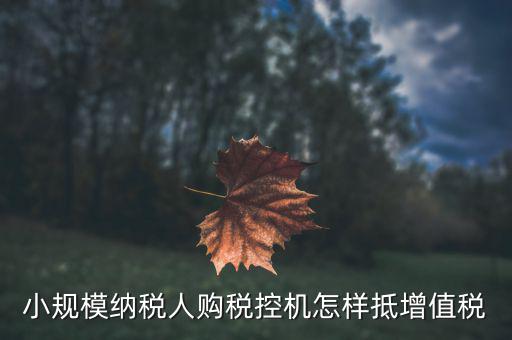 小規模納稅人購稅控機怎樣抵增值稅