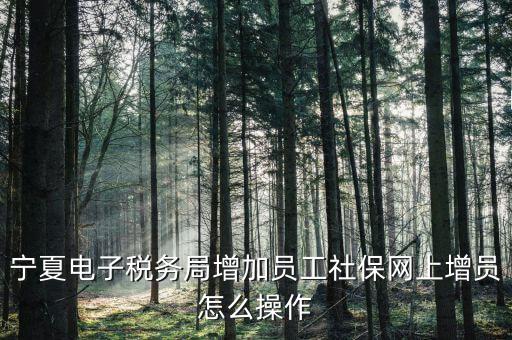 寧夏電子稅務局增加員工社保網上增員怎么操作