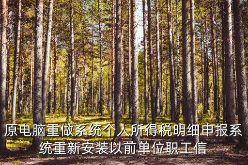原電腦重做系統個人所得稅明細申報系統重新安裝以前單位職工信