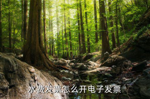 水費發票怎么開電子發票