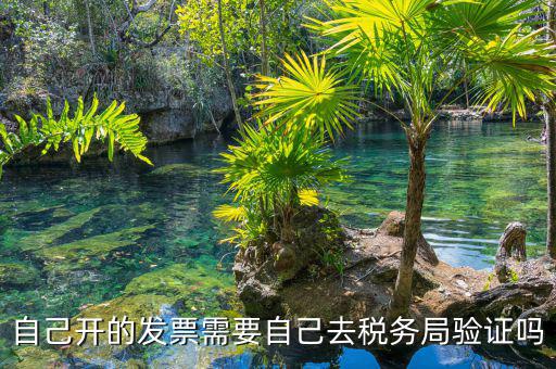 如何去稅務局驗證發票嗎，發票怎么去稅務局驗證需要什么資料