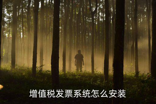 增值稅發票系統怎么安裝
