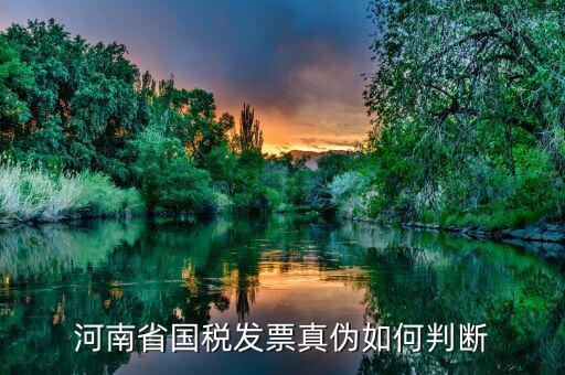 河南省國稅發票真偽如何判斷