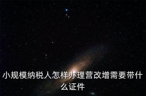 小規模納稅人怎樣辦理營改增需要帶什么證件