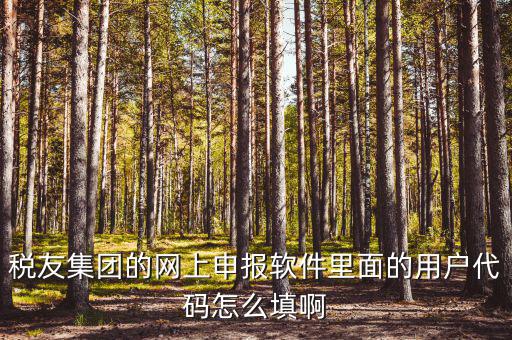 稅友集團的網上申報軟件里面的用戶代碼怎么填啊