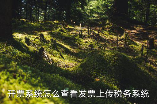 開票系統怎么查看發票上傳稅務系統