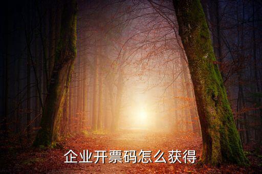 企業開票碼怎么獲得