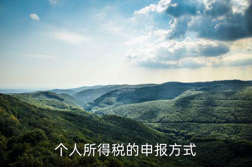 如何申請個人所得稅，個稅怎么申報
