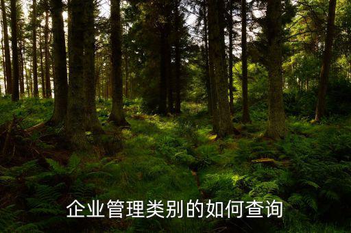 企業管理類別的如何查詢