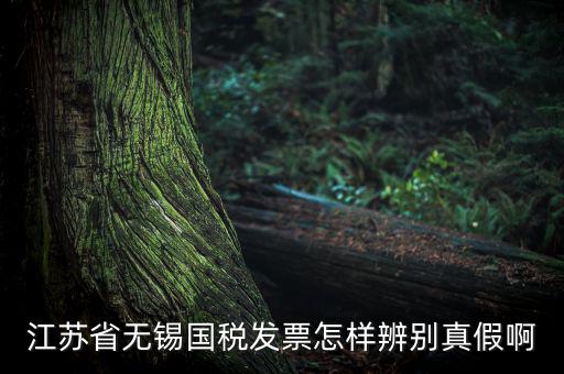 如何查詢無(wú)錫國(guó)稅發(fā)票真?zhèn)尾樵儯K省無(wú)錫國(guó)稅發(fā)票怎樣辨別真假啊