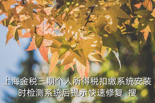 個稅安裝包如何恢復(fù)，上海金稅三期個人所得稅扣繳系統(tǒng)安裝時檢測系統(tǒng)后提示快速修復(fù)  搜