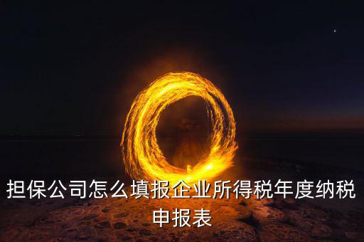 保險公司如何納稅申報，保險代理公司怎么向地稅申請代開發票