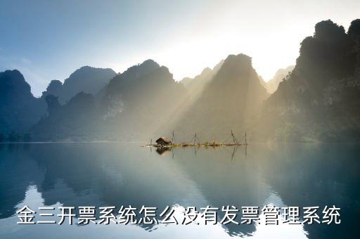 金三開票系統怎么沒有發票管理系統