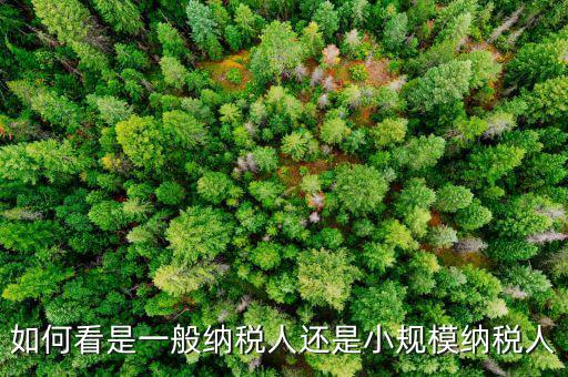 如何看是一般納稅人還是小規模納稅人