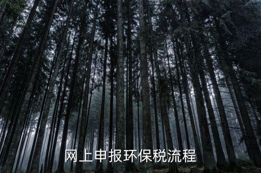 電子稅務局環(huán)保稅如何申報，2021年環(huán)保稅怎么申報