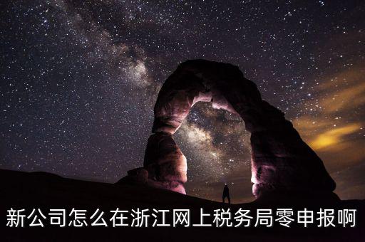 如何在浙江省稅務網上注冊，新公司怎么在浙江網上稅務局零申報啊