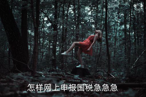 國稅網上稅務如何申報，怎樣網上申報國稅急急急
