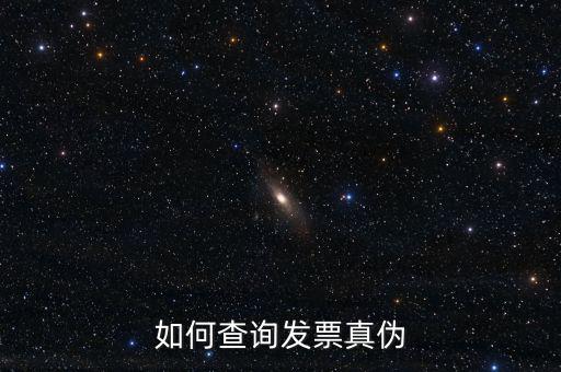 如何查詢發票真偽